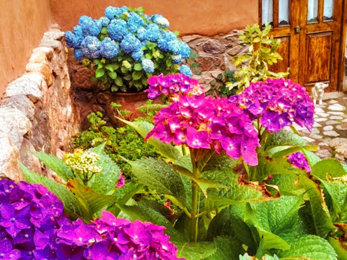 Lizzy Wasi Urubamba Hotel Bagian luar foto